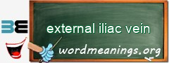 WordMeaning blackboard for external iliac vein